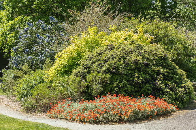 Kennedy Park 2018 (039)